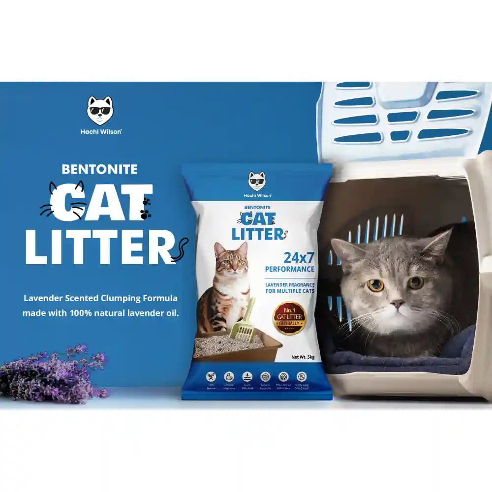 Hachi Wilson Scented Natural Bentonite White Sand Cat Litter image 8