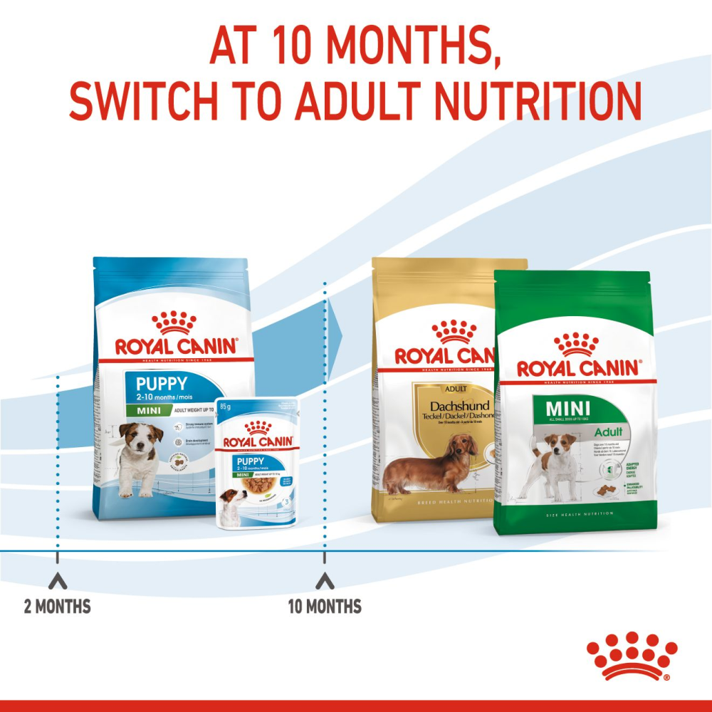 Royal Canin Mini Puppy Dog Dry Food image 8