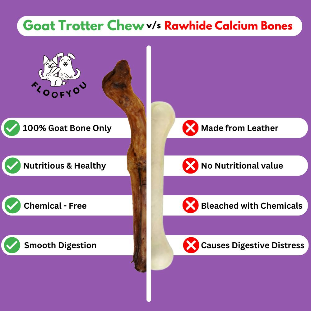 FloofYou Air Dried Goat Trotter Bone Chew Dog Treats image 2