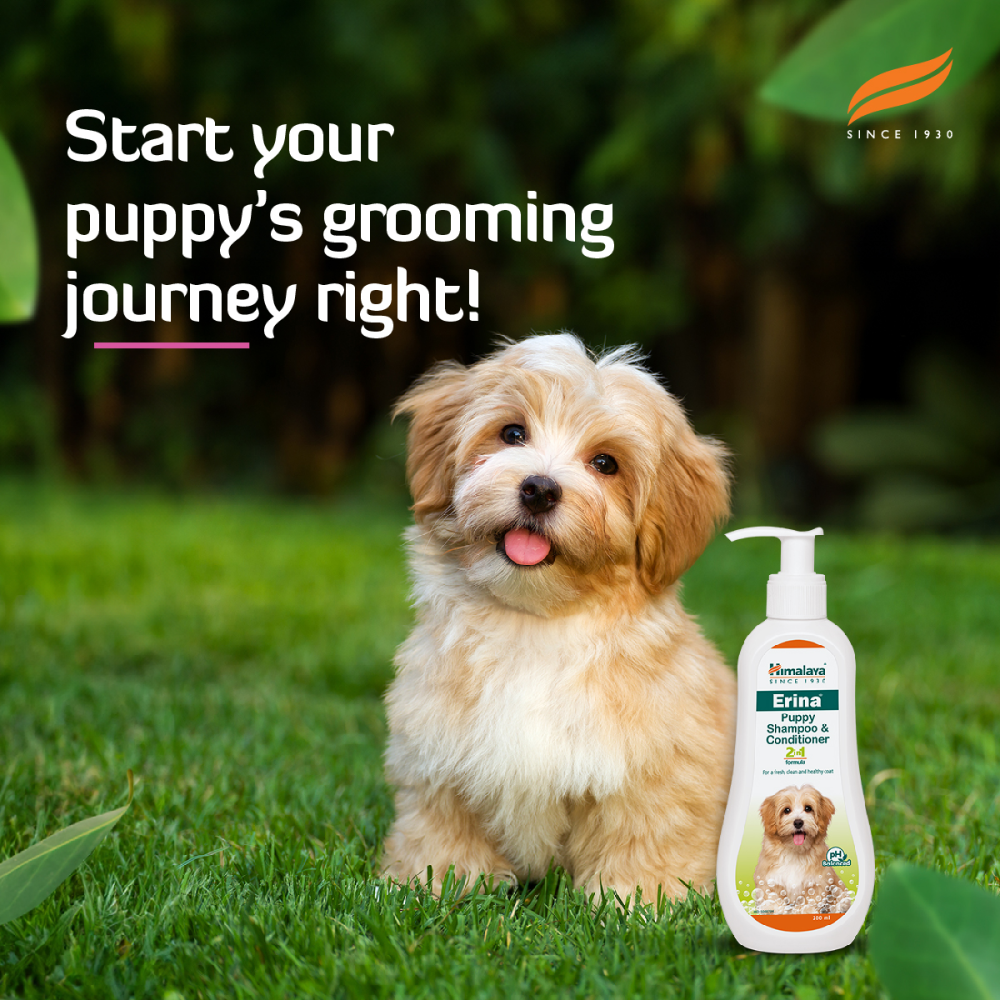 Himalaya Erina Shampoo & Conditioner for Puppies image 9