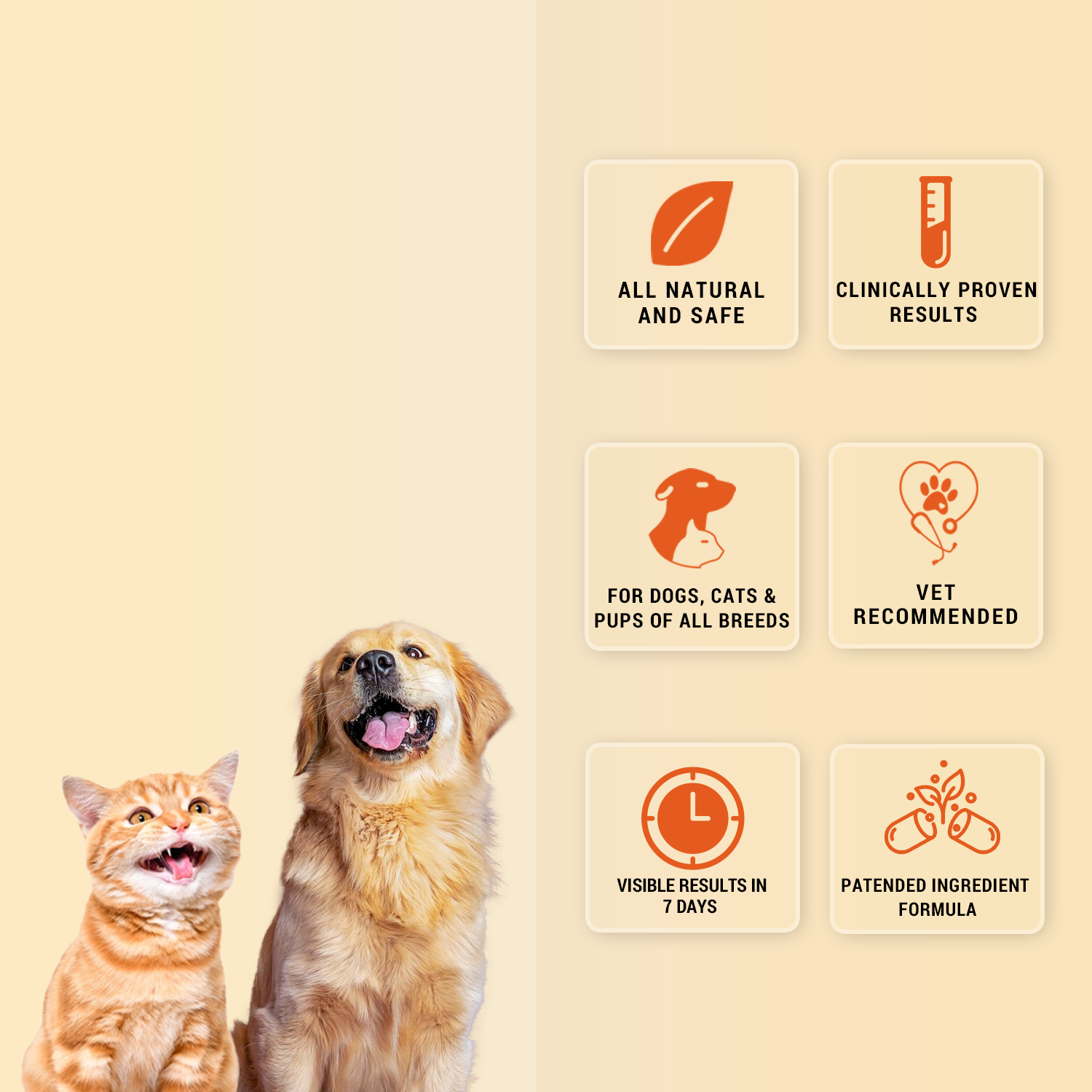Natural Remedies Orthoron Plus Joint Supplement Paste for Dogs and Cats image 3