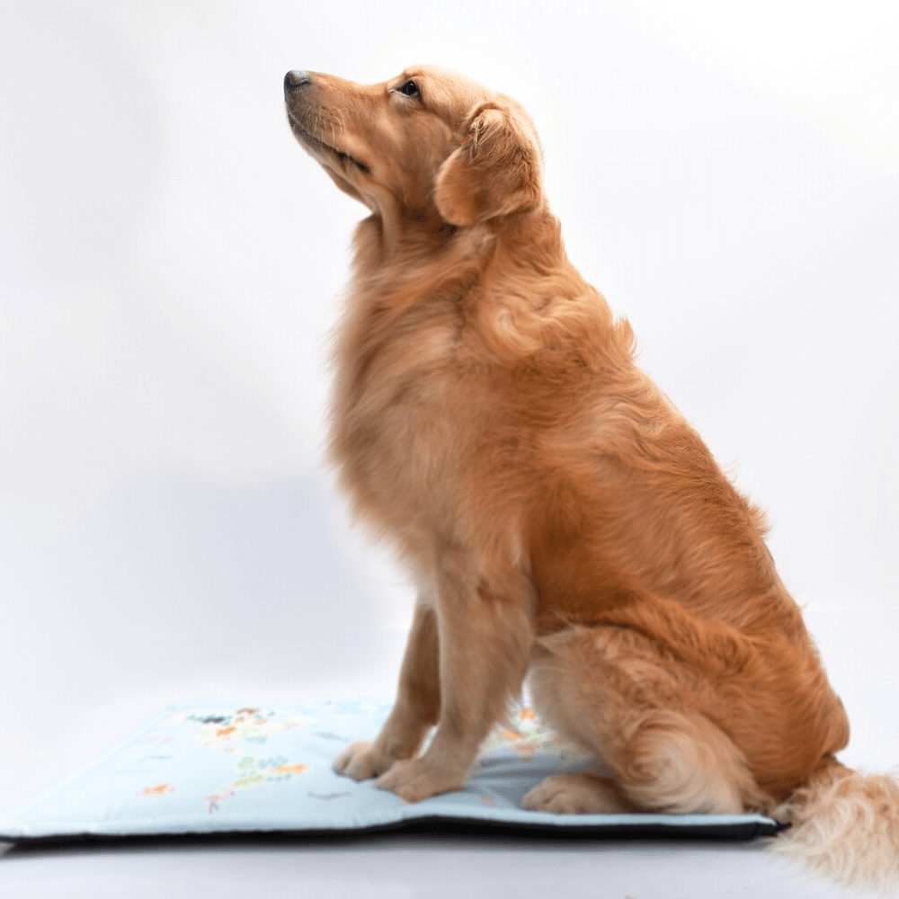 FurBuddies Fur Map Mat for Dogs and Cats image 6