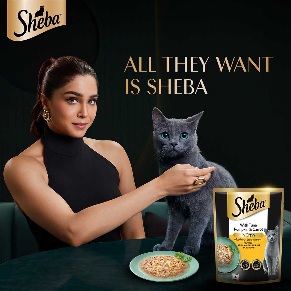 Sheba Tuna Pumpkin & Carrot In Gravy Rich Premium Adult Fine Cat Wet Food image 10