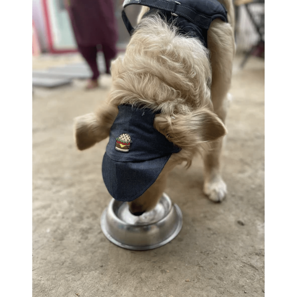 Pawgypets Cap for Dogs and Cats (Denim) image 2