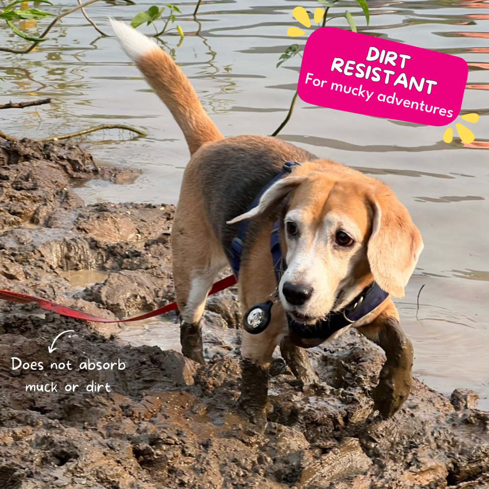 For The Love Of Dogs Long Lines Leash for Dogs (Hot Pink) image 4
