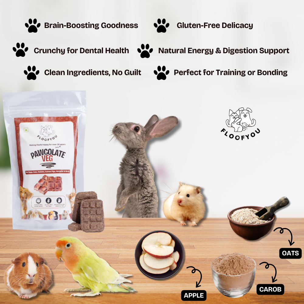 FloofYou Oven Baked Pawcolate Chocolate Flavoured Small Animal Treats image 2
