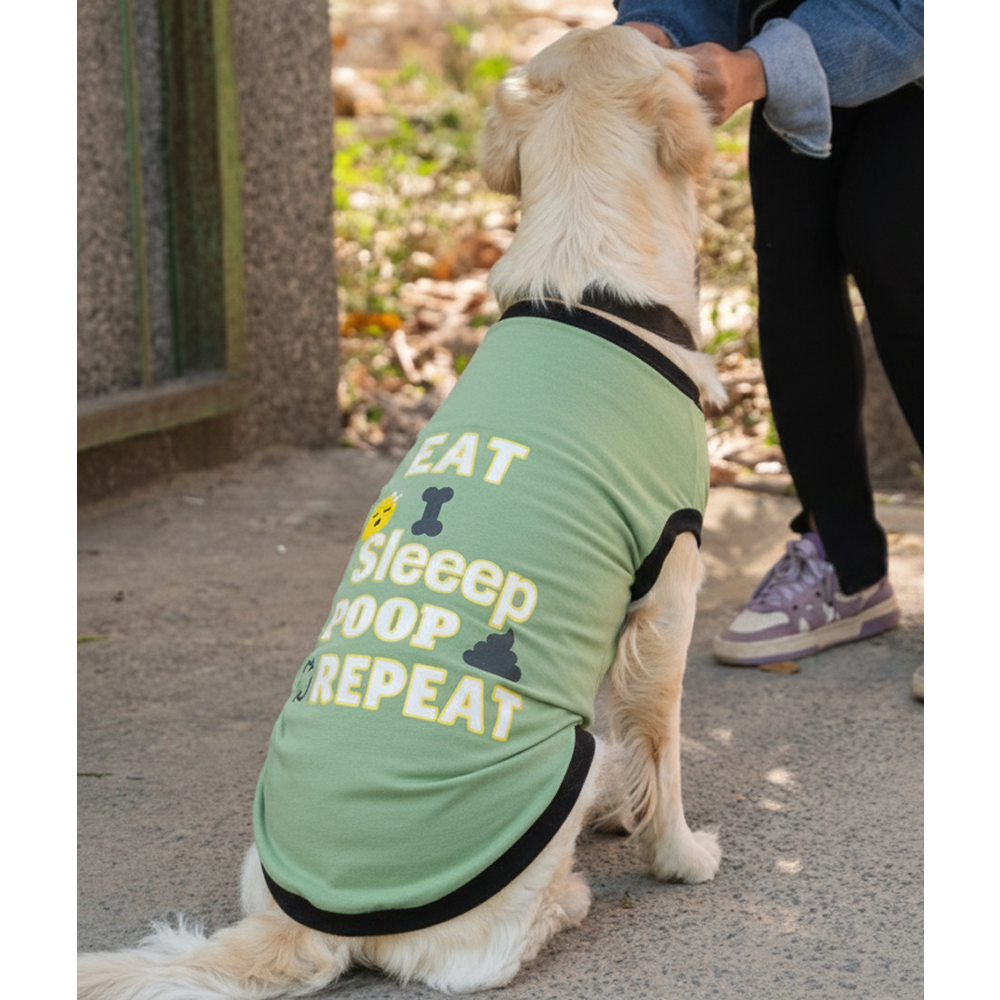 Pet Set Go Eat Sleep Poop Repeat T-shirt for  Dogs (Cyan) image 4
