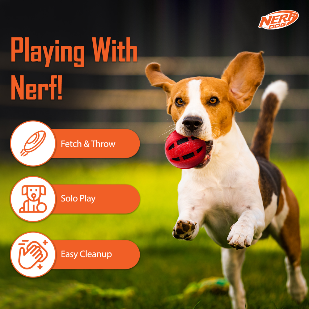 Nerf Bash Checker Squeak Crunch Ball Toy for Dogs (Red) image 2
