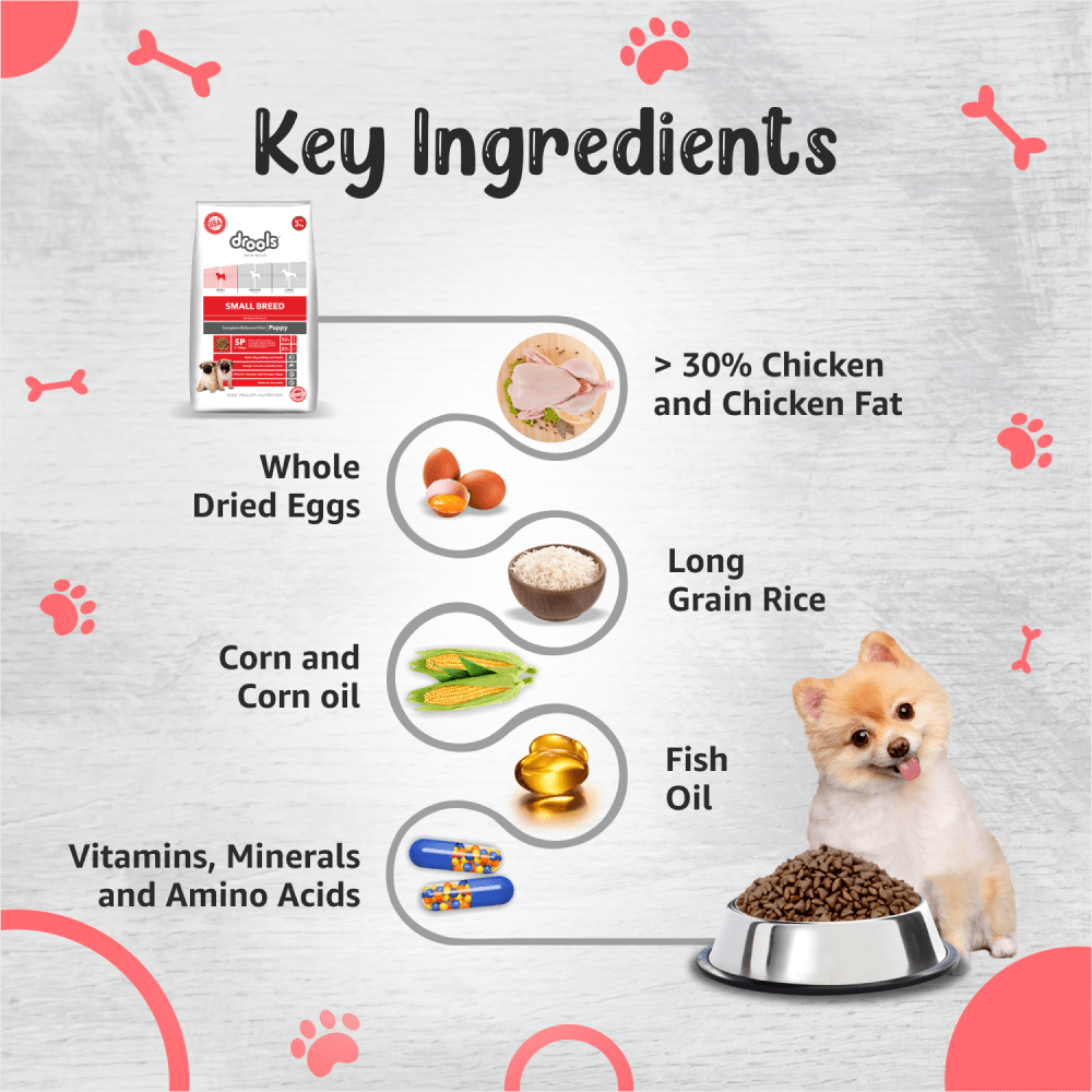 Drools Premium Small Breed Puppy Dog Dry Food image 4