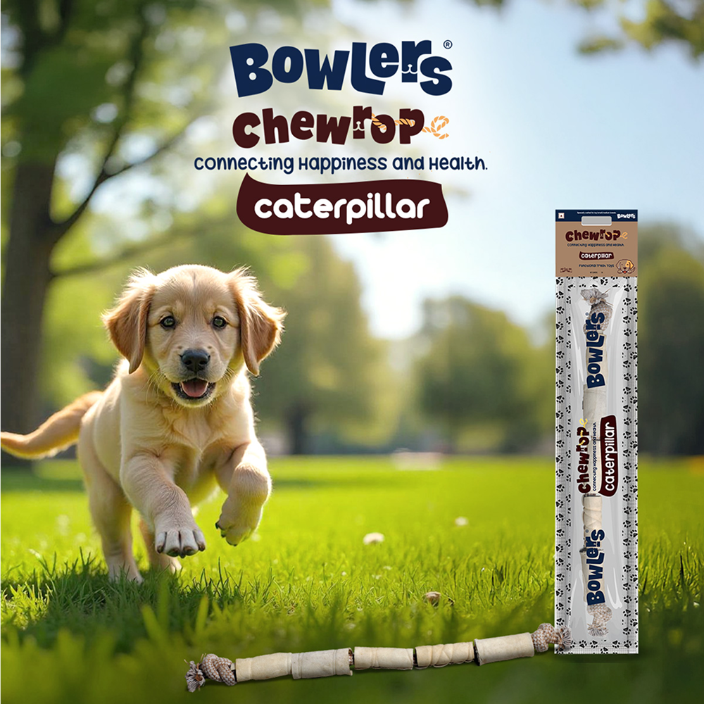 Bowlers Chewrope Caterpillar Functional Dog Treat Toy image 6