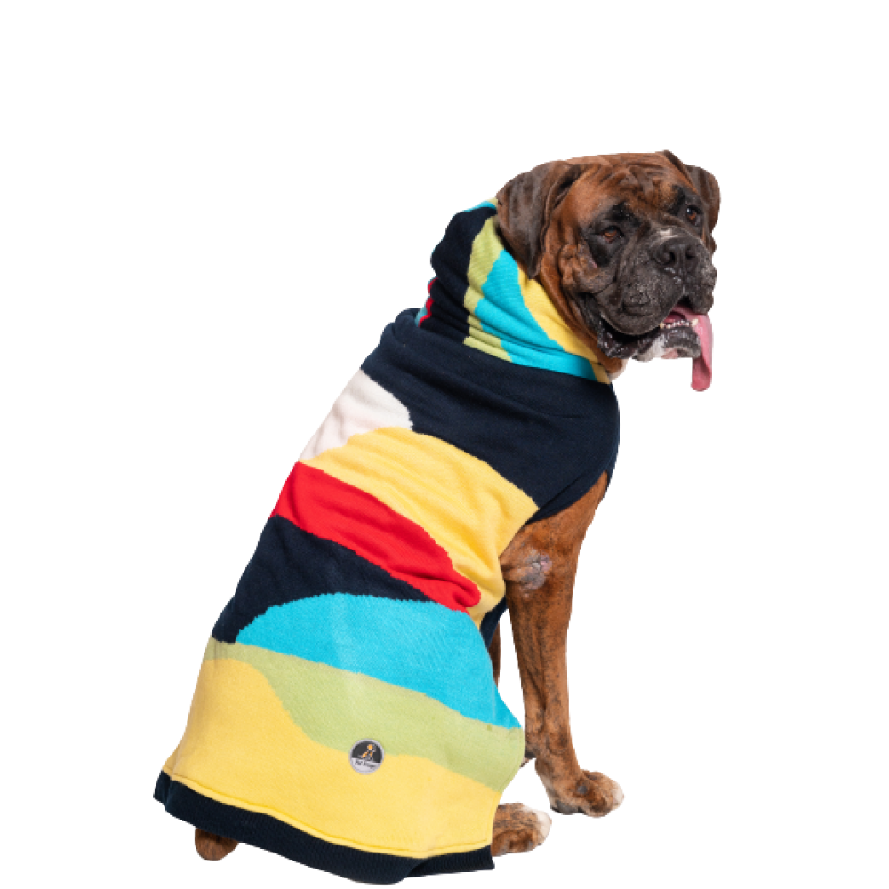 Petsnugs Color blocked Knit Sweater for Dogs and Cats image 2