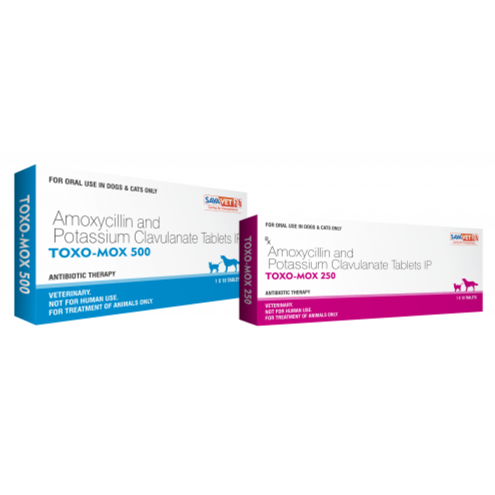 Savavet Toxo Mox (Amoxycillin) Tablets for Dogs & Cats (pack of 10 tablets) image 4