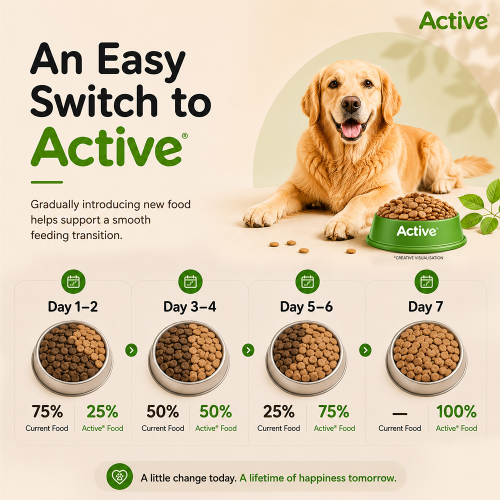 Active All Breed 100% Veg Dog Dry Food (Buy 1 Get 1) image 8