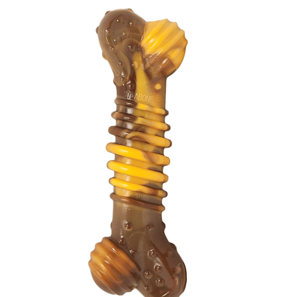 Nylabone Power Chew Flavor Frenzy Textured Bone Toy for Dogs (Yellow, Brown) image 2