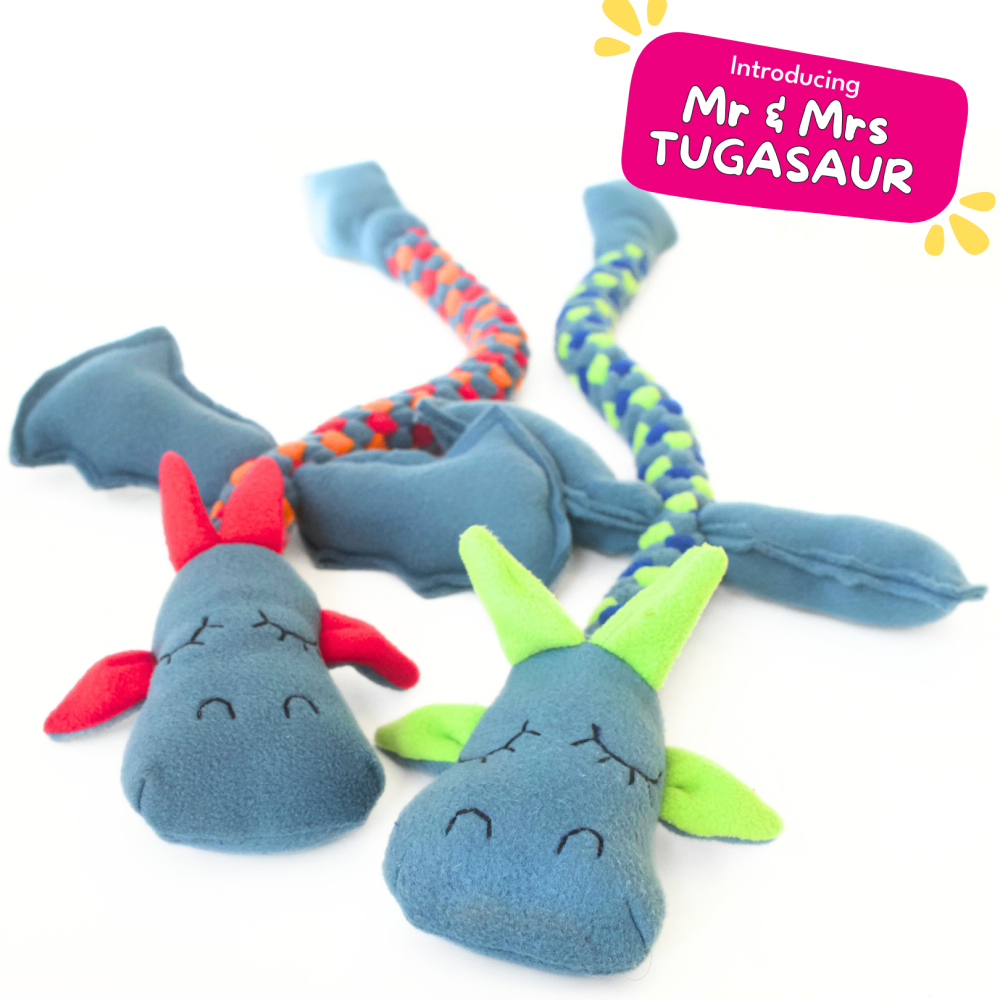 For The Love Of Dog Mrs Tugasaur Squeaky Toy for Dogs (Pink/Green/Grey) image 5