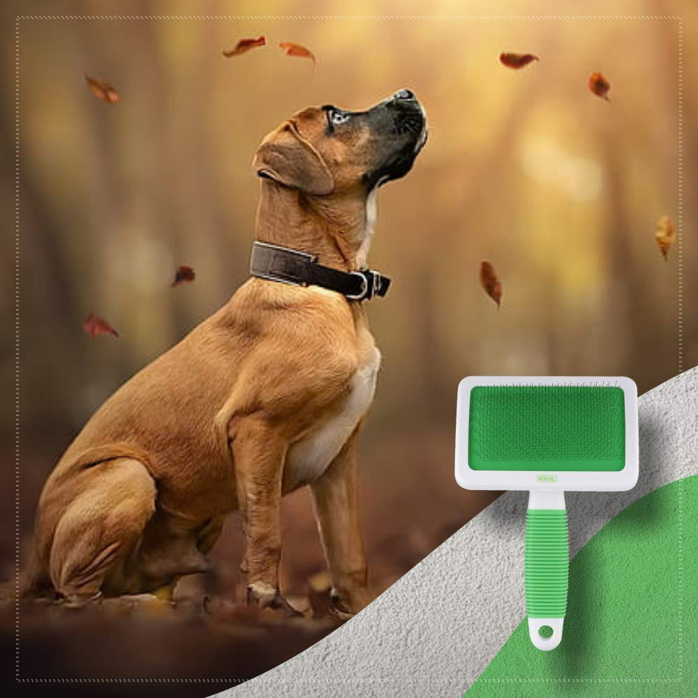 Wahl Slicker Brush for Dogs & Cats (15cm) image 9