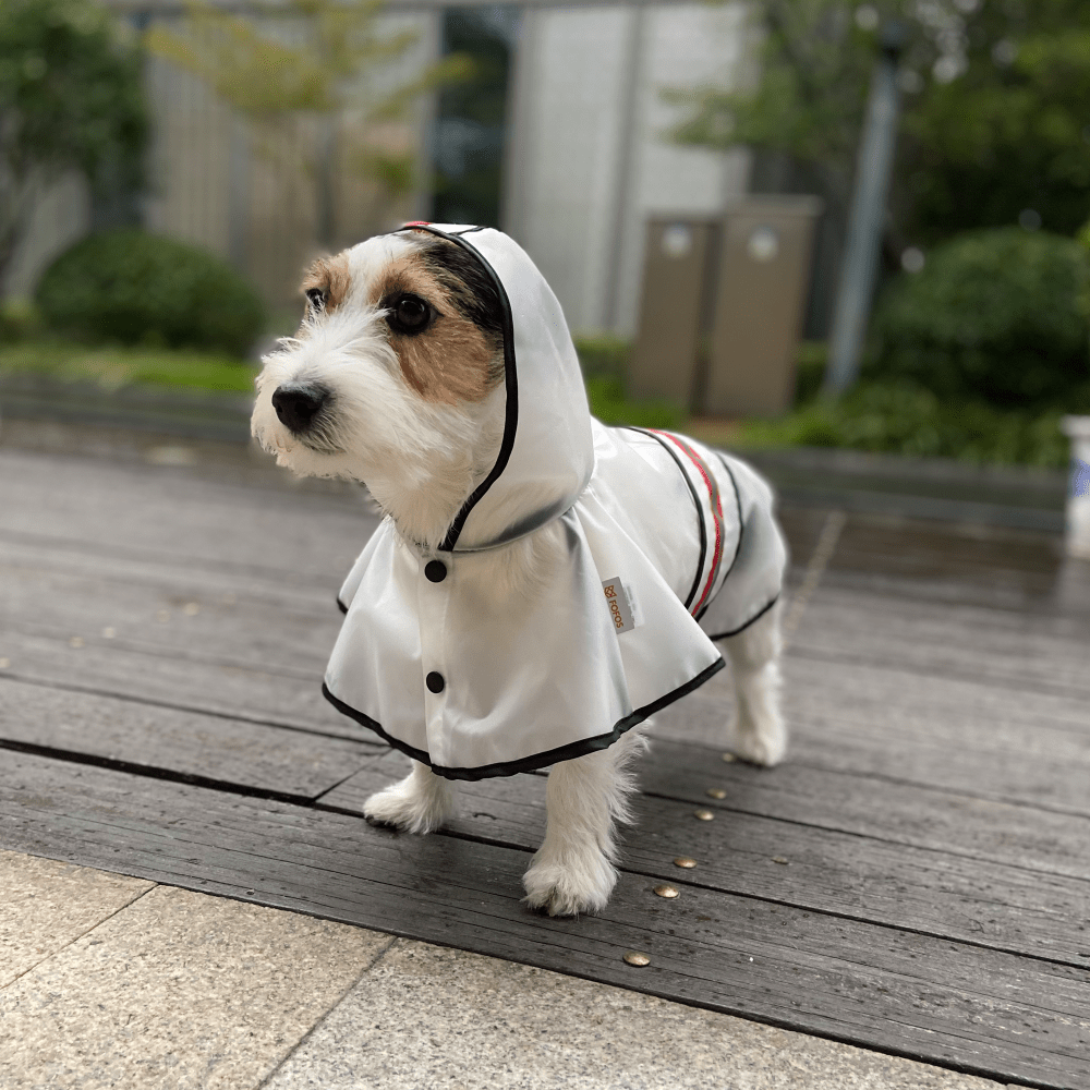 Barkbutler x Fofos Reflective Raincoat for Dogs image 5