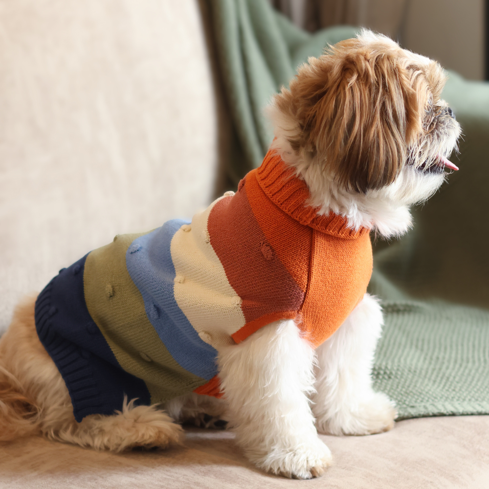 Pet Set Go Multi Coloured Sweater for Dogs image 2