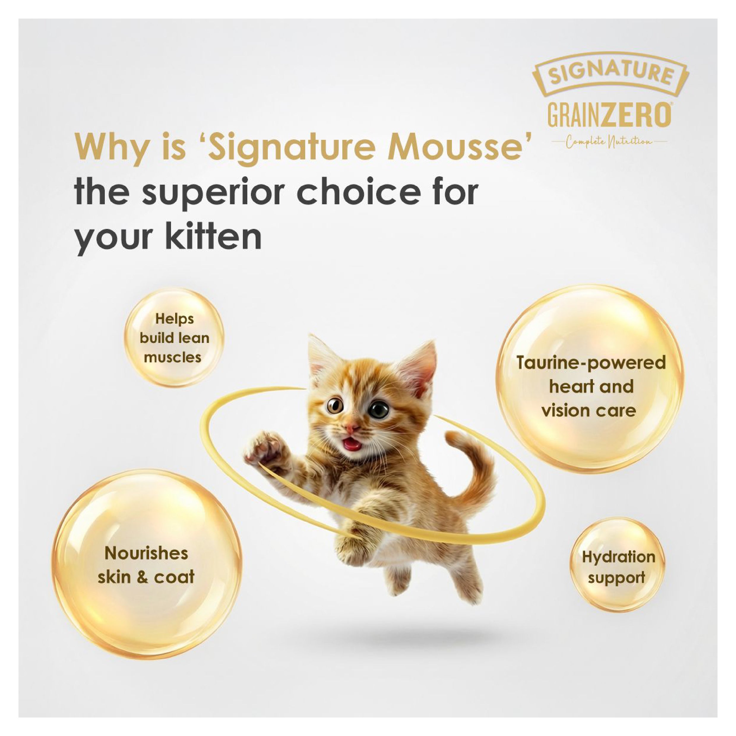 Signature Grain Zero Salmon Mousse Kitten Cat Wet Food image 4