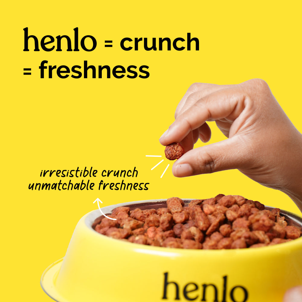 Henlo Starter Pack | Complete High Protein Dog Diet image 1
