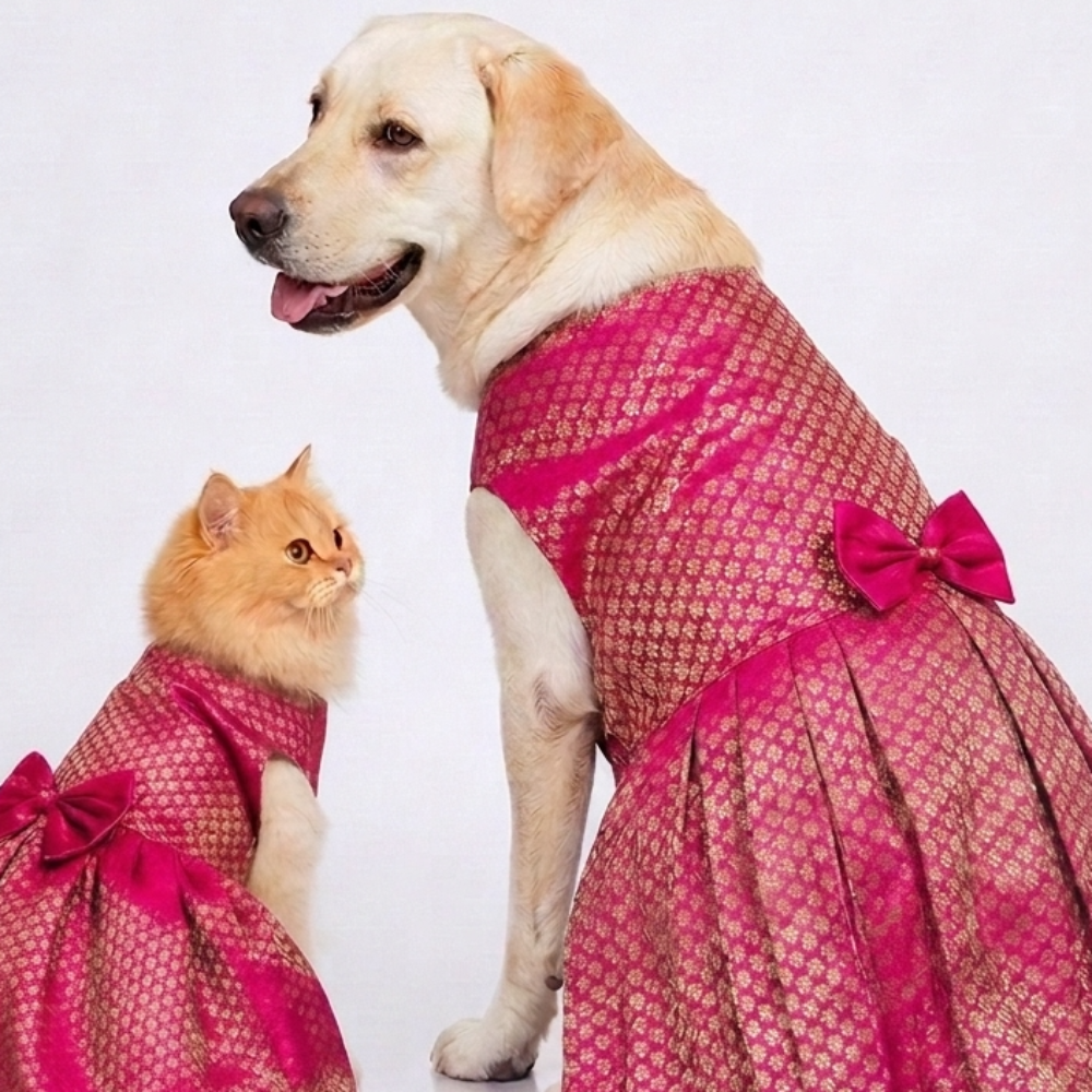Skatrs Brocade Gold Printed Dress for Dogs and Cats (Pink)
