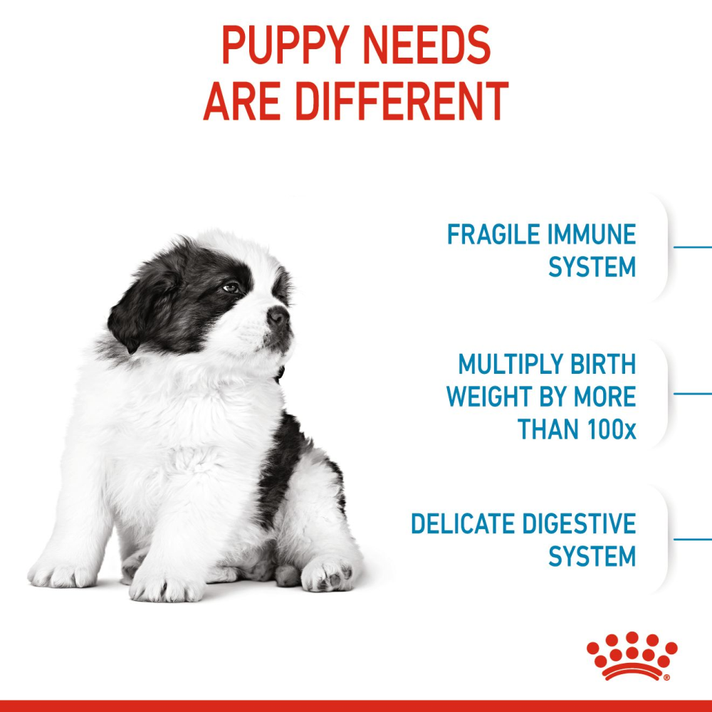 Royal Canin Giant Puppy Dog Dry Food image 4