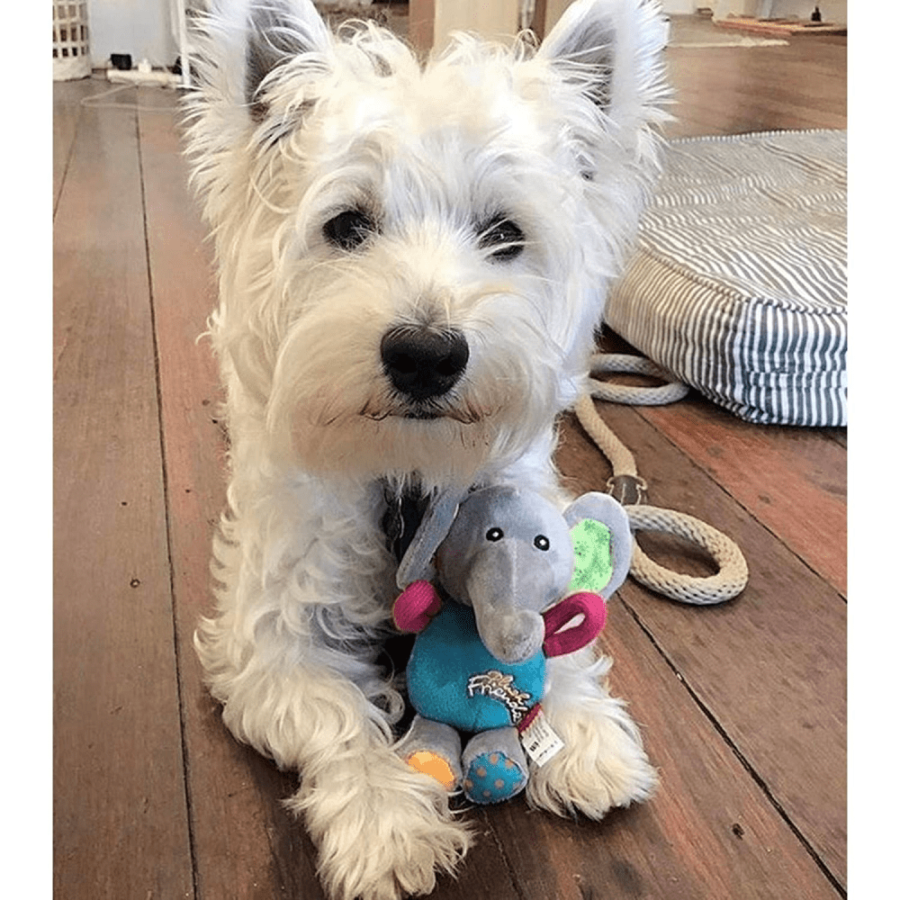 GiGwi Plush Friendz with Squeaker Elephant Toy for Dogs | For Soft Chewers image 6