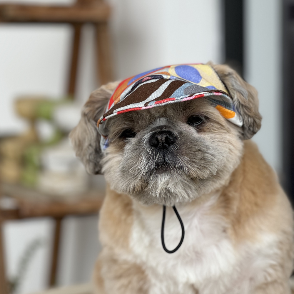 Pawgypets Cap for Dogs (Multi Color) image 2