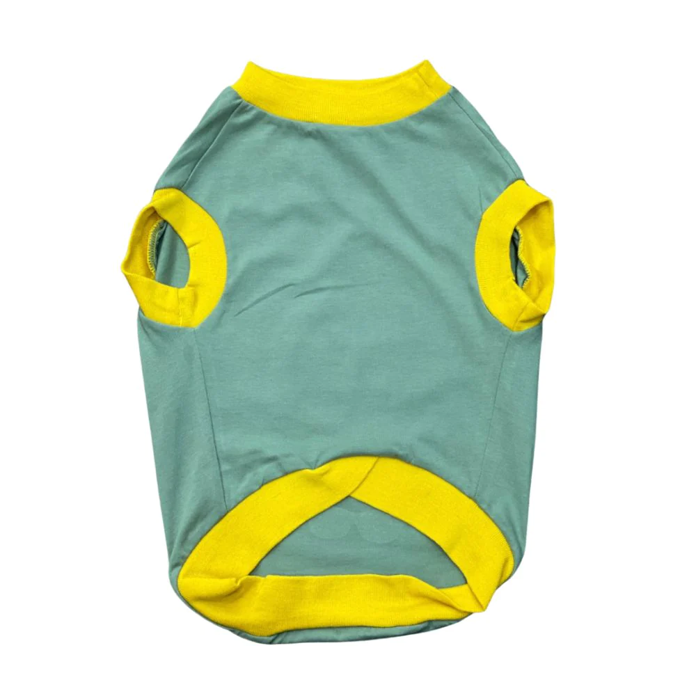 Pet Set Go Hotter Than The Summer Sleeveless T Shirt for Dog (Green) image 5