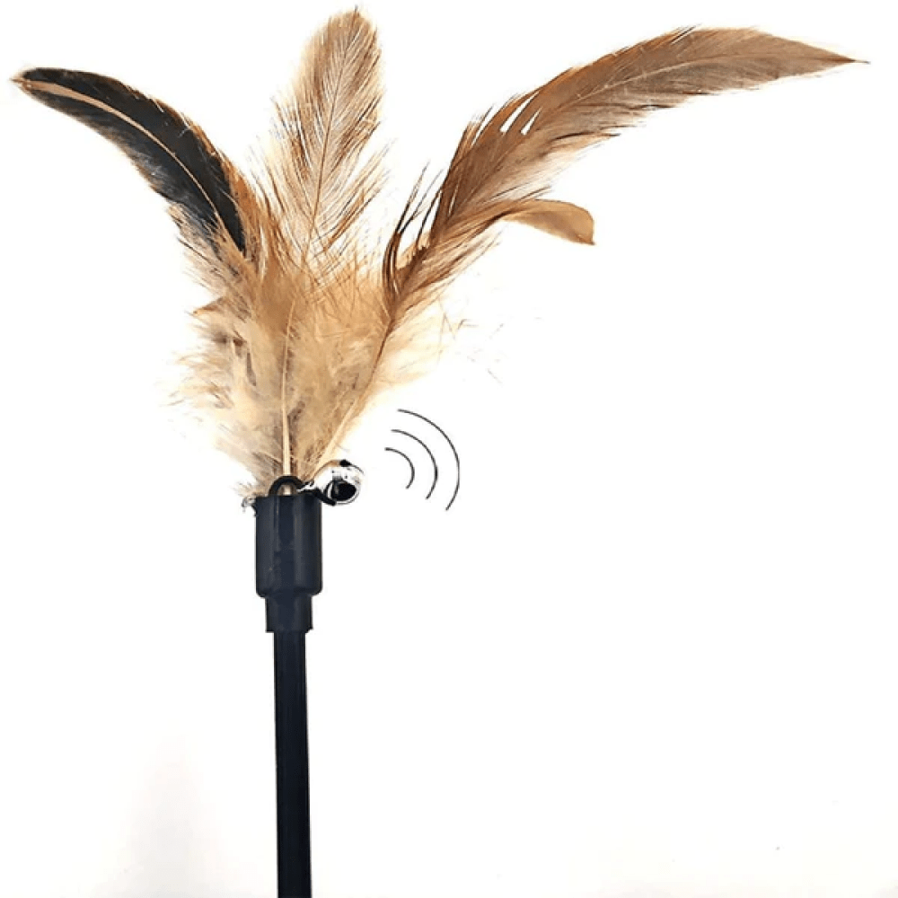 Emily Pets interactive Feather Toy for Cats (Yellow) image 3
