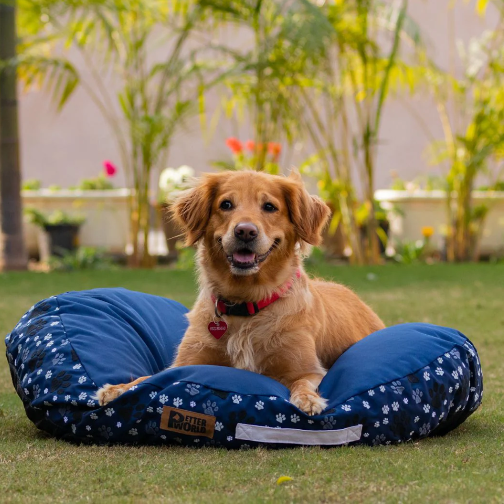 Petter World Indoor Artisanal Round Cushioned Bed with Washable Cover for Dogs and Cats (Ensign Blue) image 2