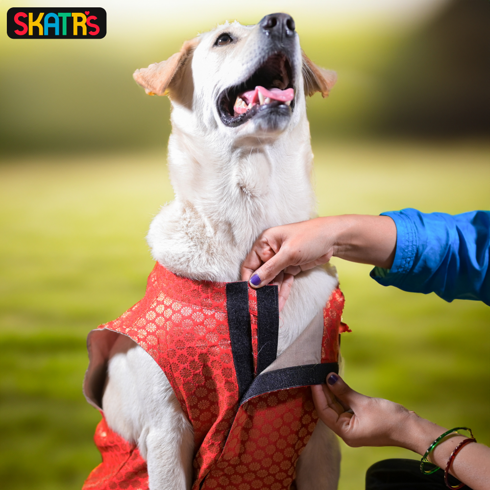 Skatrs Brocade Gold Printed Sherwani for Dogs and Cats (Red) image 9