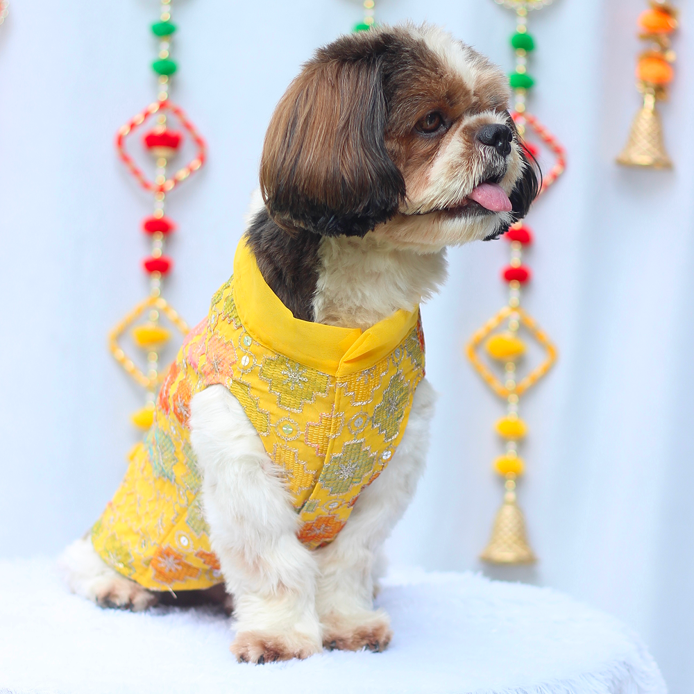 Pawgypets Festive Patola Kurta for Dogs (Yellow) image 1