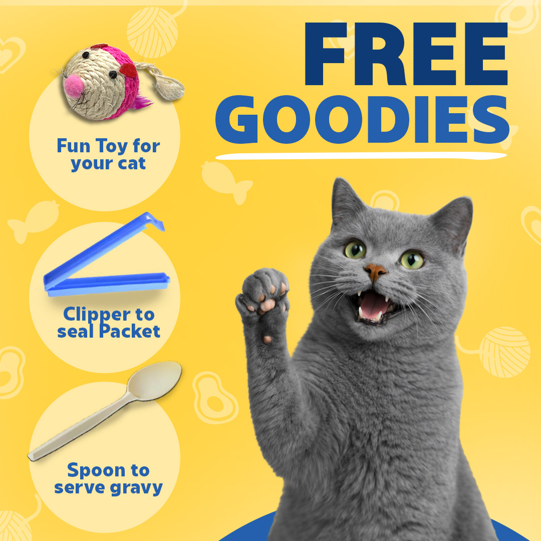 Smylo Kitten Trial Box, Tuna & Chicken, Fresh & No-Preservative Wet Cat Food image 7