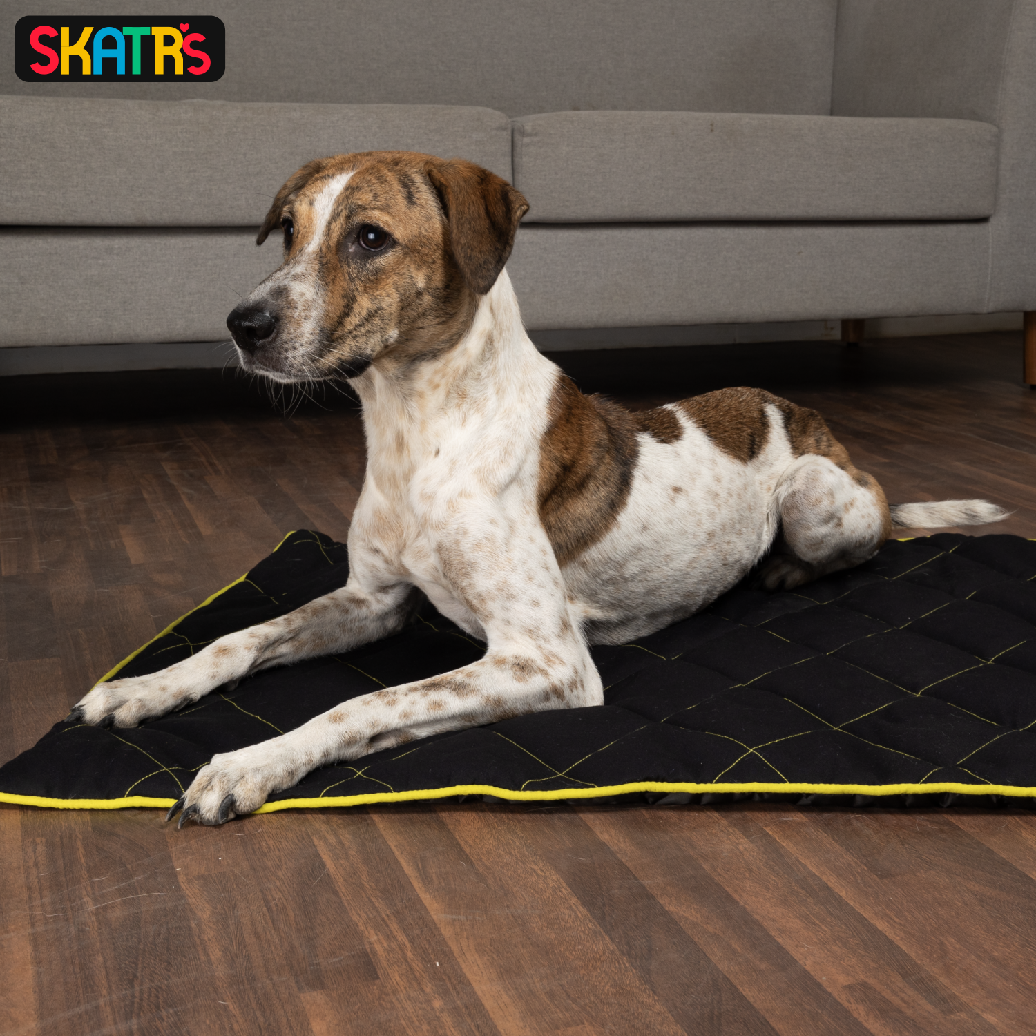 Skatrs Foldable Quilted Mat for Dogs and Cats (Black) image 2