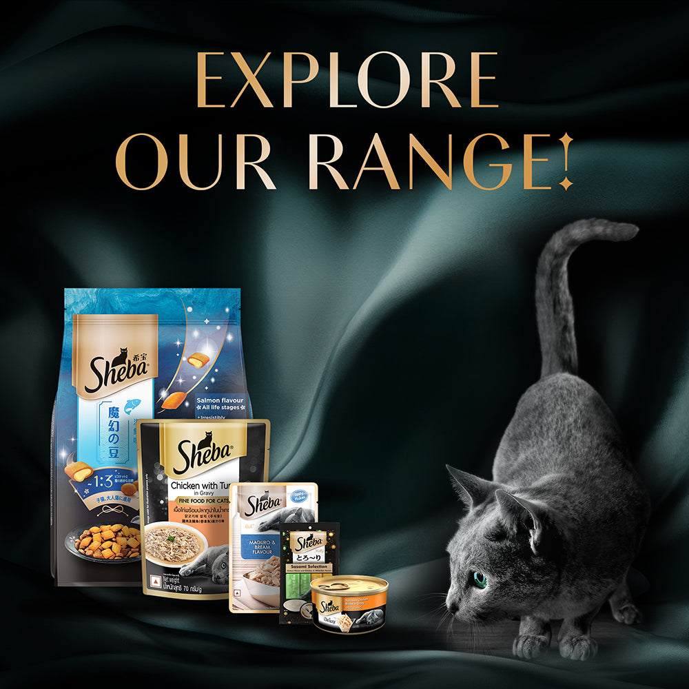 Sheba Fish with Dry Bonito or Skipjack Premium Cat Wet Food image 10