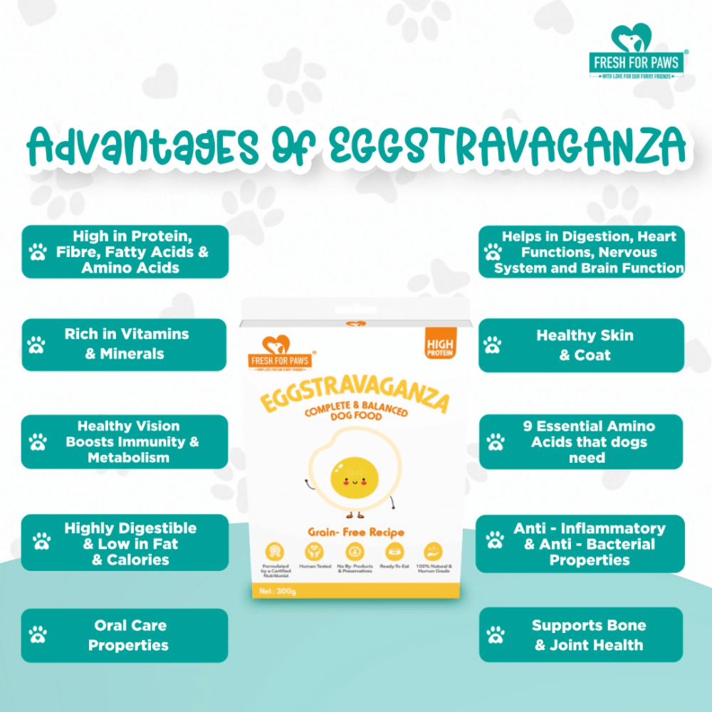 Fresh For Paws Eggstravaganza Dog Wet Food (300g) image 6