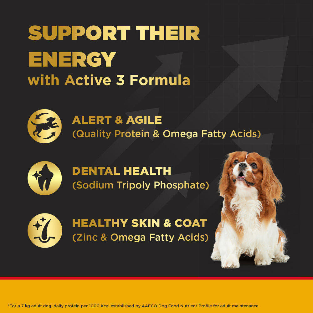 Pedigree PRO Expert Nutrition Adult Dry Food for Small Breed and Pedigree Dentastix Oral Care for Adult (Small Breed of 5 to 10 kg) Treats Combo for Dogs image 4