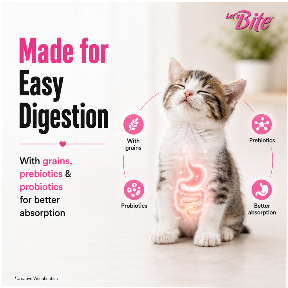 Let's Bite Active Kitten Ocean Fish Cat Dry Food (Buy 1 Get 1 Free) image 8