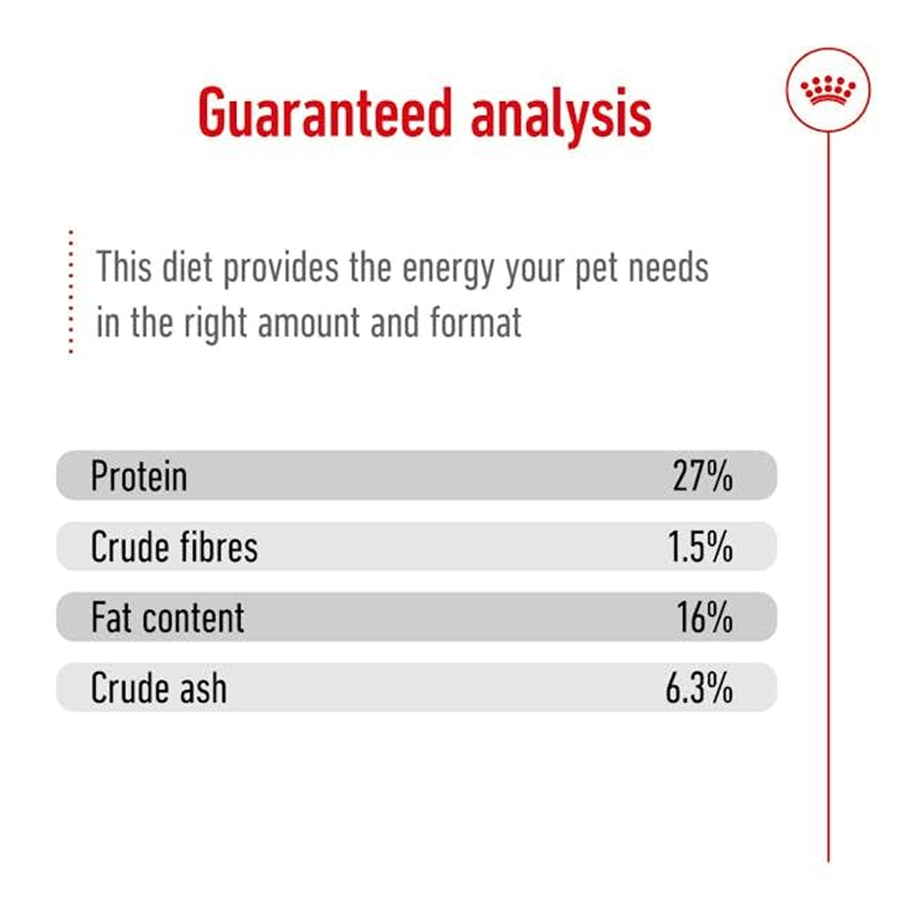 Royal Canin Mini Adult Dog Dry Food with 8+ Years of age image 5