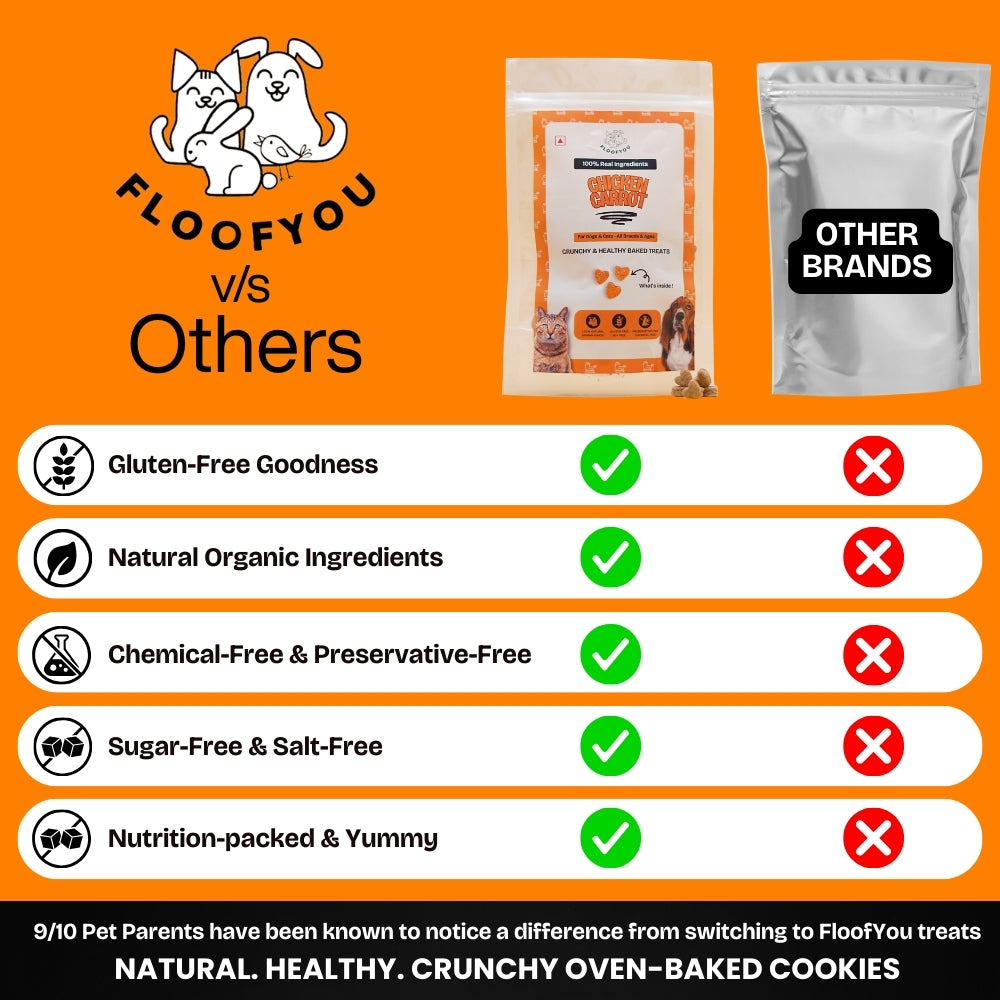 Floofyou Chicken Carrot Oven Baked Cookie Dog Treats image 5