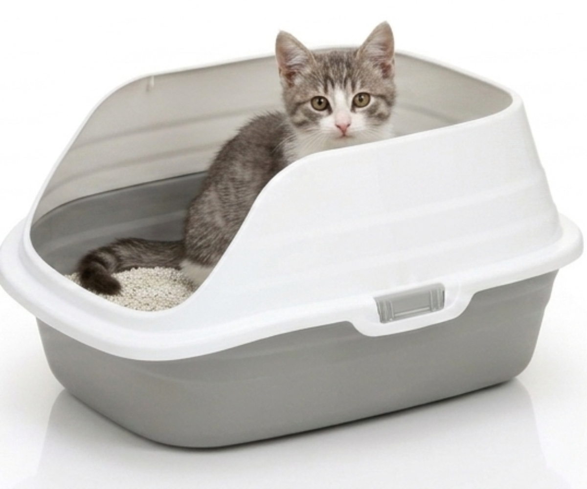 Skatrs High Sided Splash Proof & Spacious Litter Box for Cats image 1
