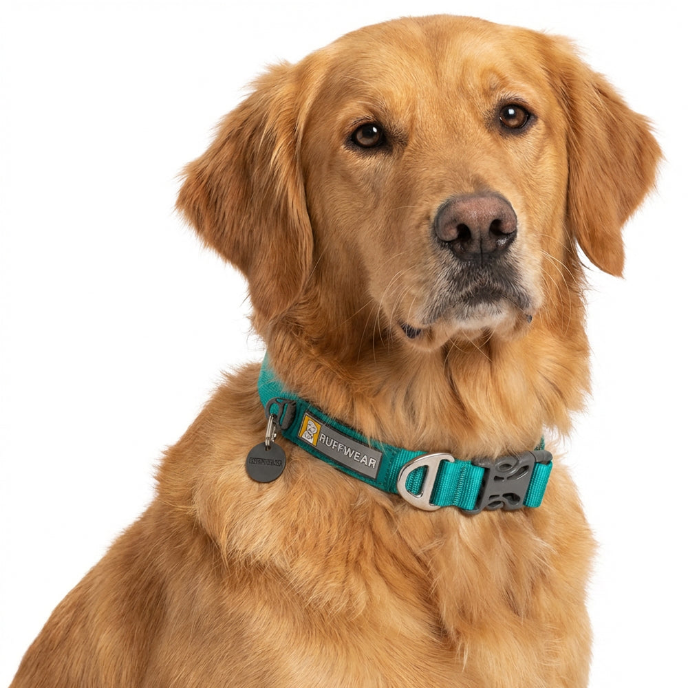 Ruffwear Front Range Collar for Dogs (Aurora Teal) image 2