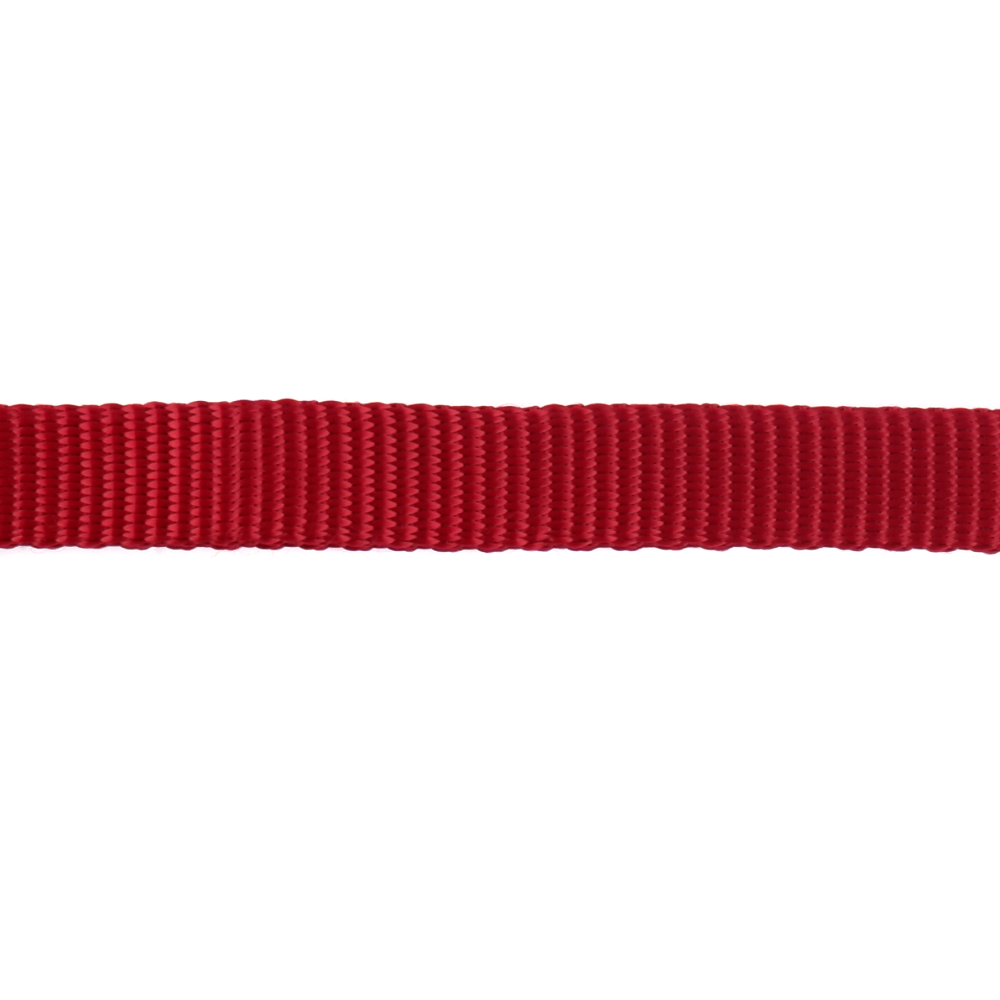 Trixie Premium Collar for Dogs (Red) image 3