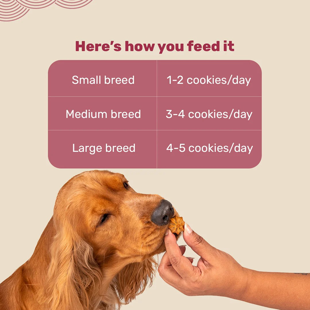 HUFT Gluten Free Goat Milk & Chicken Liver Cookie Dog Treats image 5