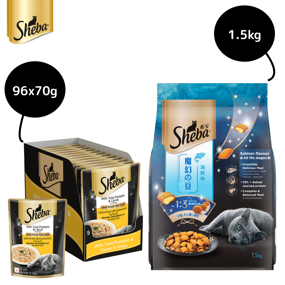 Sheba Tuna Pumpkin & Carrot In Gravy Rich Premium Adult Fine Cat Wet Food and Salmon Flavour Irresistible All Life Stages Cat Dry Food Combo