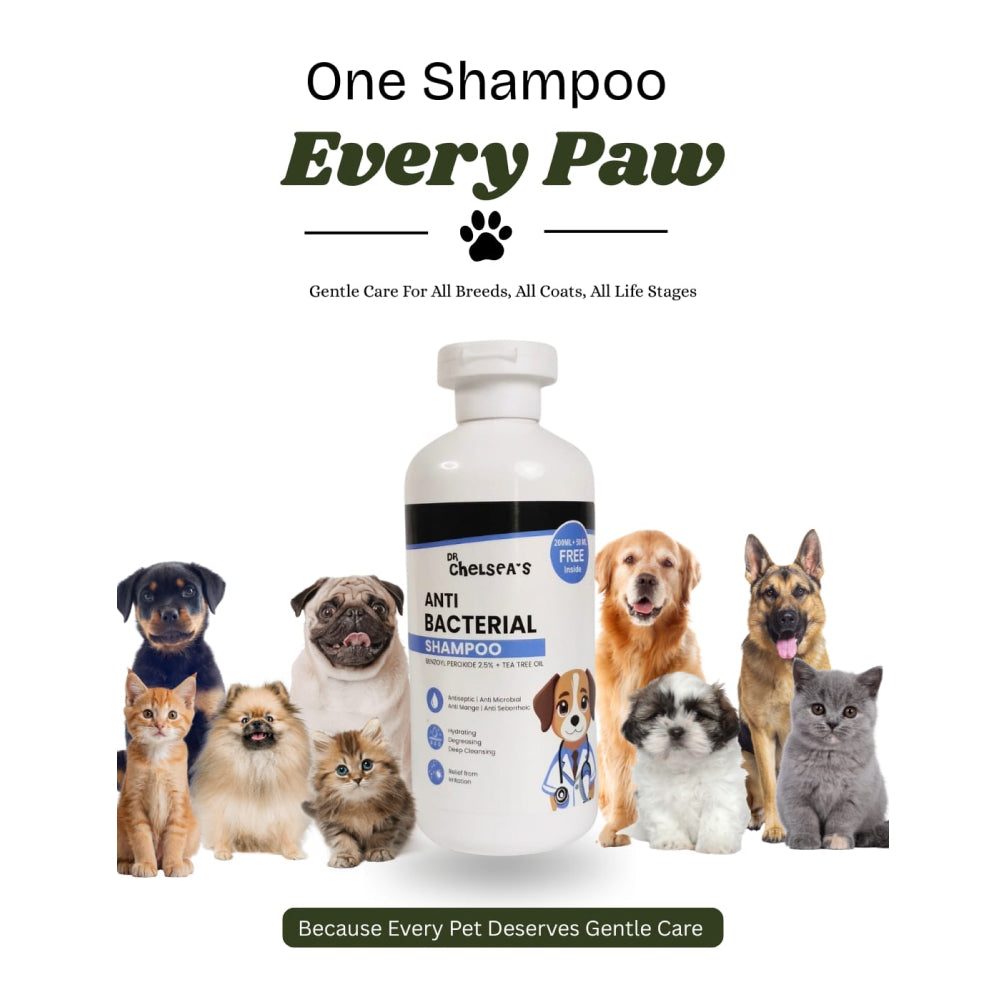 Dr. Chelsea’s Anti Bacterial Shampoo for Dogs & Cats image 2