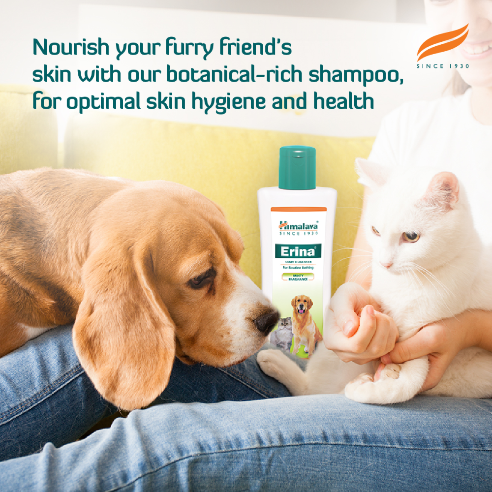 Himalaya Erina Shampoo & Conditioner for Puppies image 8