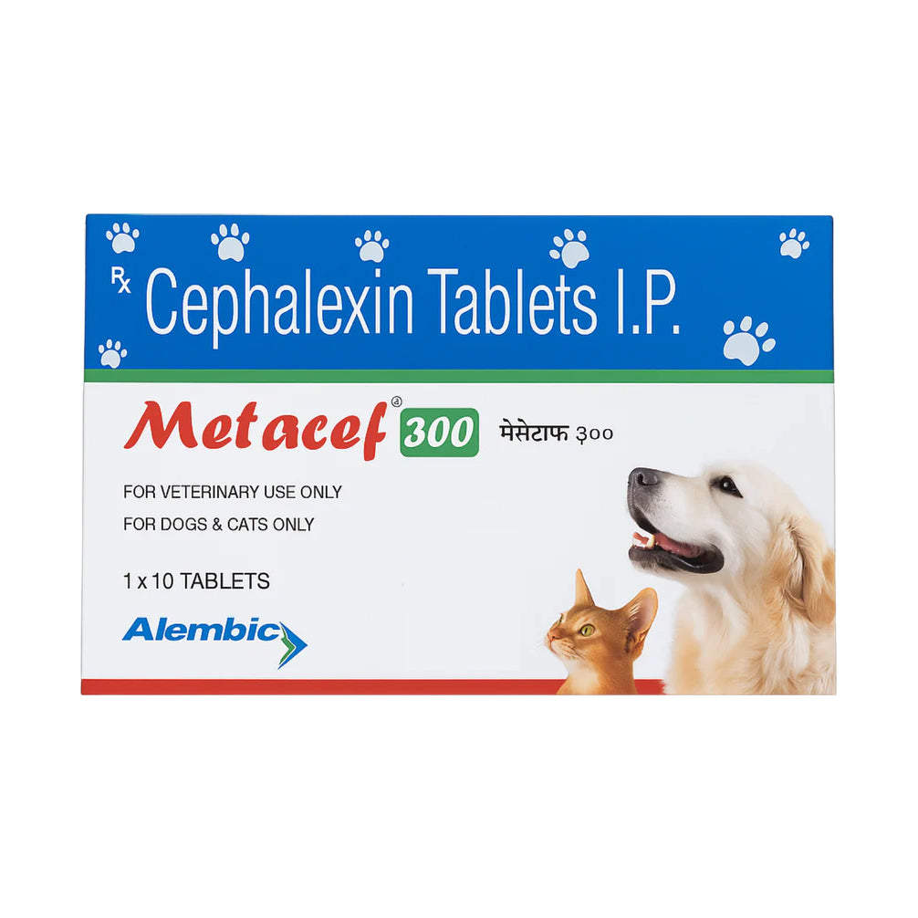 Alembic Metacef (Cephalexin) 300mg Tablets for Dogs and Cats