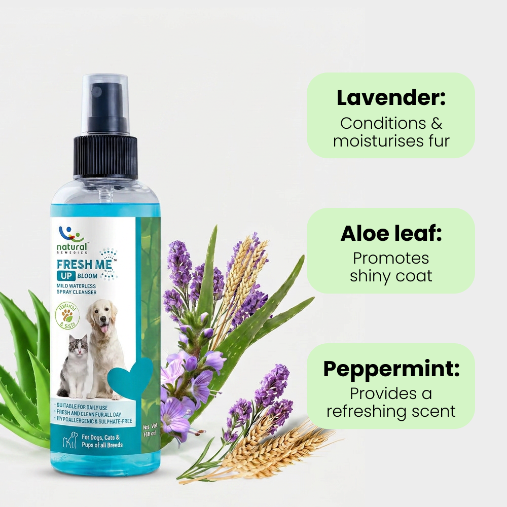 Natural Remedies Fresh Me Up Bloom Dry Shampoo for Dogs and Cats image 5